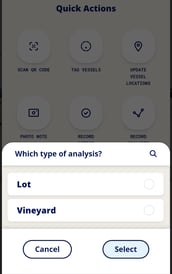 InnoApp How to Record Analysis-vineyard