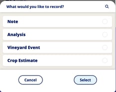 InnoApp Vineyard-record2