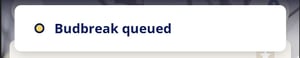 InnoApp_Budbreak queued