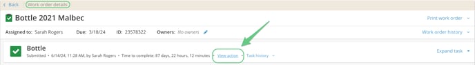 Edit or Delete Actions_Submitted WO_View action