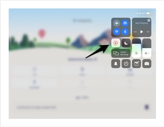 InnoVint on iPad or tablet_iPad controls_Rotation lock button 2