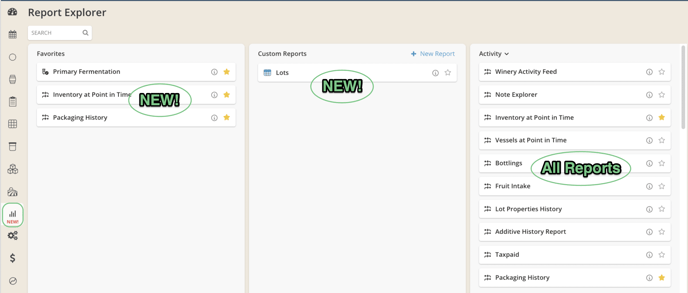 Report Explorer_New
